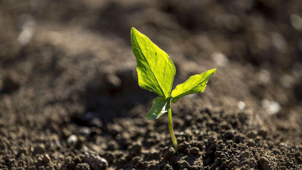Lei do Autocontrole na prática: o que muda para a agroindústria em 2026